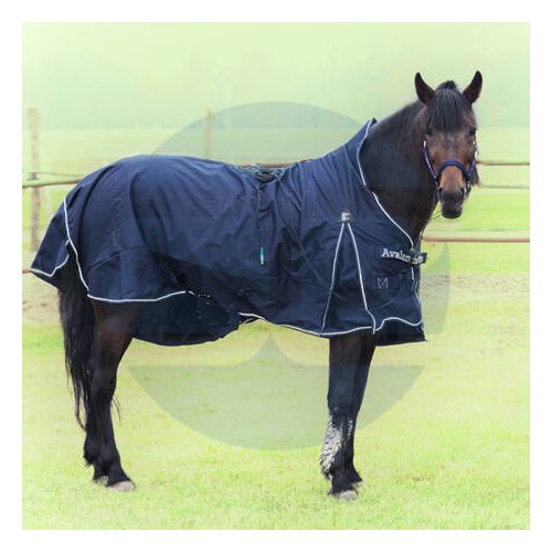 Horse Blanket (Mandelay Q9,Eductor)