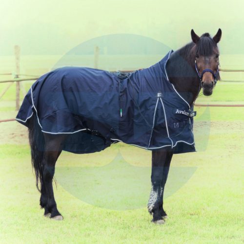 Horse Blanket (SCIO)